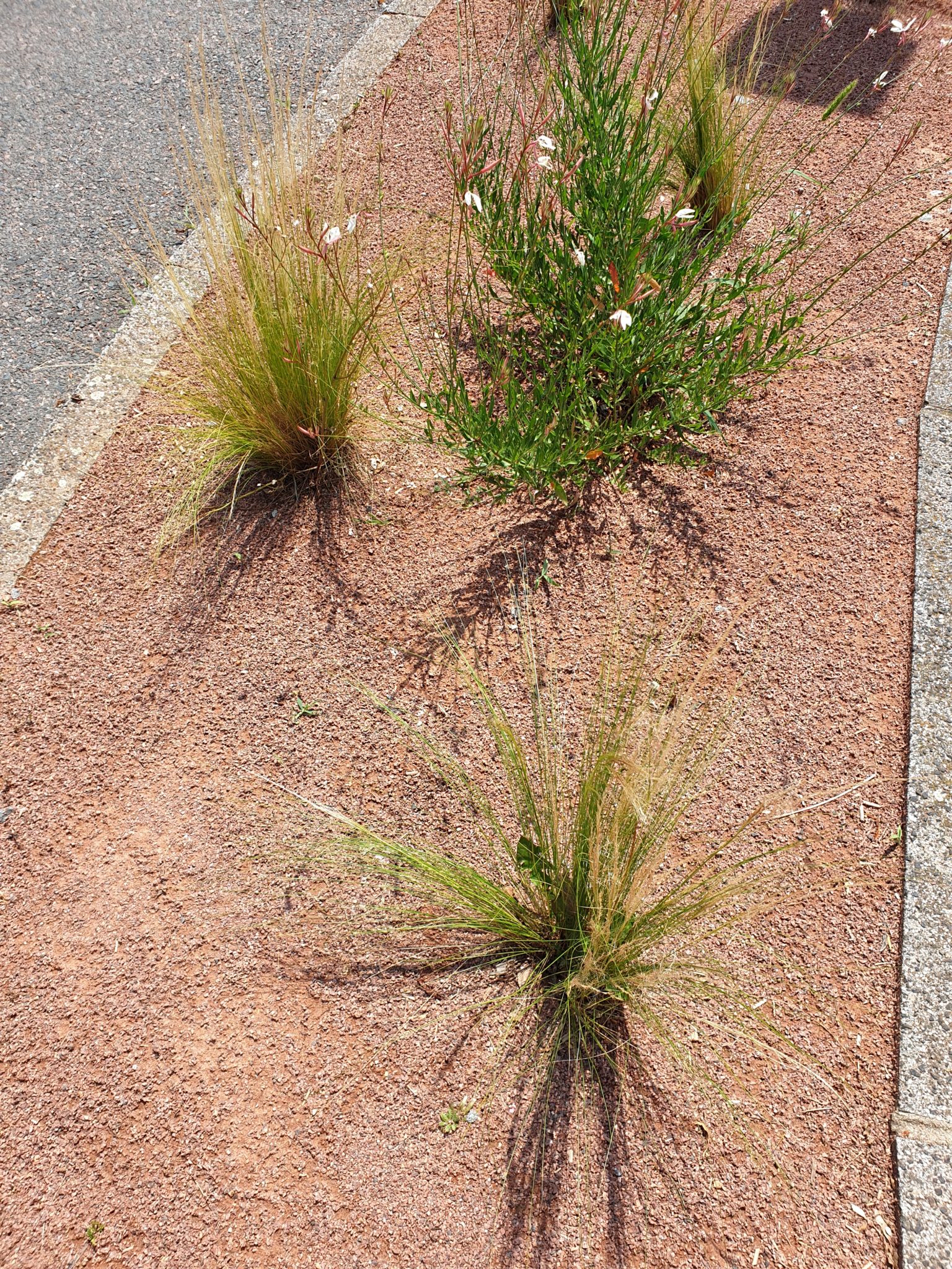 Sable 0/4 rouge - Carrière Chiaverina Commelle Vernay - roche naturelle